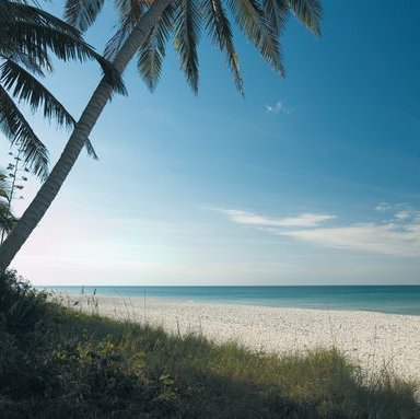 Adventure and luxury both await visitors to Naples, Florida.
